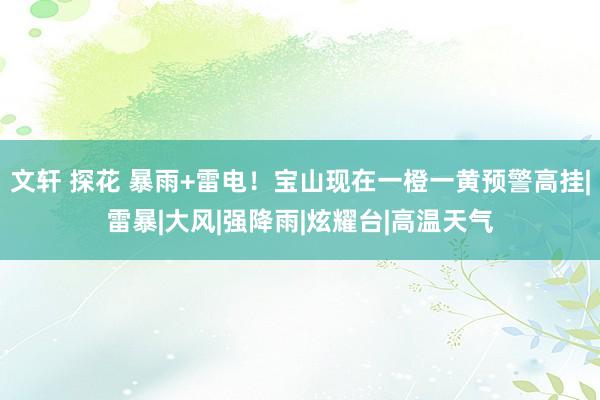 文轩 探花 暴雨+雷电！宝山现在一橙一黄预警高挂|雷暴|大风|强降雨|炫耀台|高温天气
