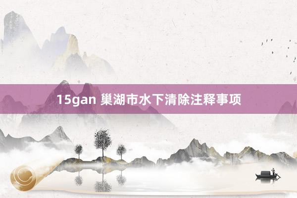 15gan 巢湖市水下清除注释事项
