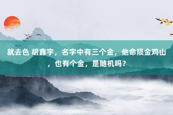 就去色 胡鑫宇，名字中有三个金，他命陨金鸡山，也有个金，是随机吗？