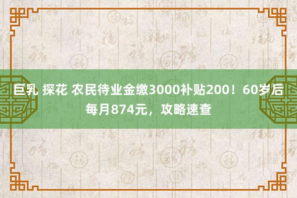 巨乳 探花 农民待业金缴3000补贴200！60岁后每月874元，攻略速查