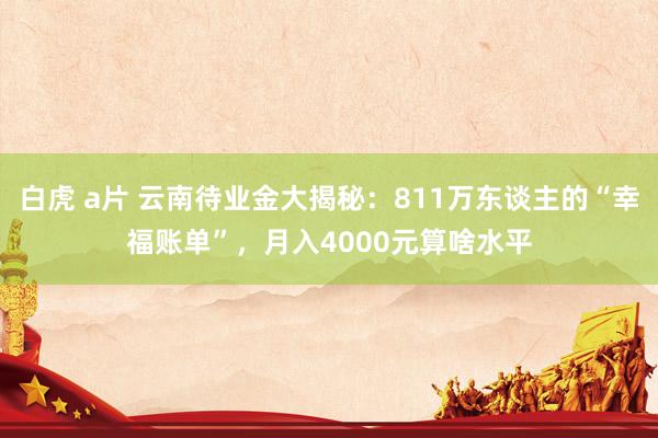 白虎 a片 云南待业金大揭秘：811万东谈主的“幸福账单”，月入4000元算啥水平