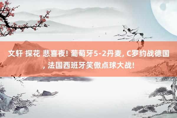 文轩 探花 悲喜夜! 葡萄牙5-2丹麦, C罗约战德国, 法国西班牙笑傲点球大战!