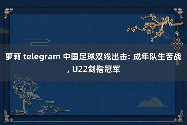 萝莉 telegram 中国足球双线出击: 成年队生苦战, U22剑指冠军