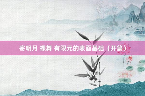 寄明月 裸舞 有限元的表面基础（开篇）