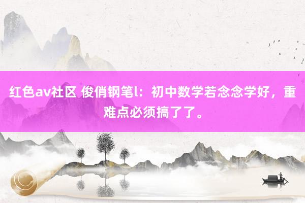红色av社区 俊俏钢笔l：初中数学若念念学好，重难点必须搞了了。
