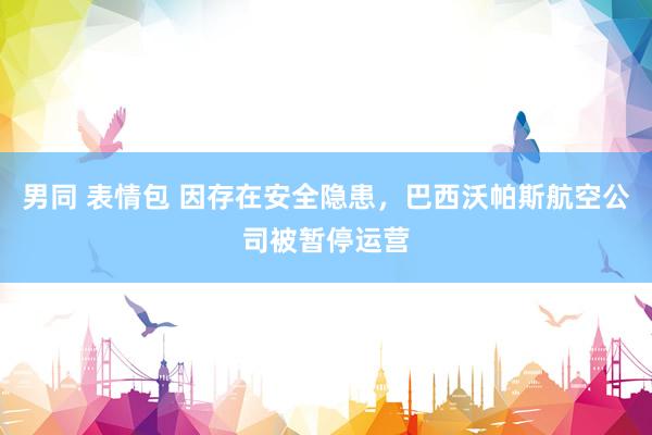男同 表情包 因存在安全隐患，巴西沃帕斯航空公司被暂停运营