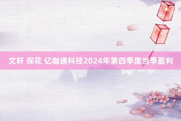 文轩 探花 亿咖通科技2024年第四季度当季盈利