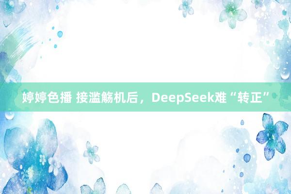 婷婷色播 接滥觞机后，DeepSeek难“转正”