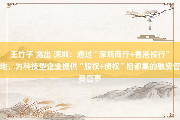 王竹子 露出 深圳：通过“深圳商行+香港投行”步地，为科技型企业提供“股权+债权”相都集的融资管事