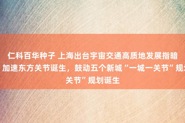 仁科百华种子 上海出台宇宙交通高质地发展指暗想法：加速东方关节诞生，鼓动五个新城“一城一关节”规划诞生